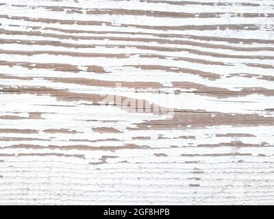 White texture of weathered wooden plank. Closeup Stock Photo