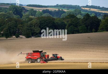 A tractor drives alongside a combine harvester as it unloads grain whilst harvesting a field near to Stockbridge in Hampshire. Picture date: Tuesday August 24, 2021. Stock Photo