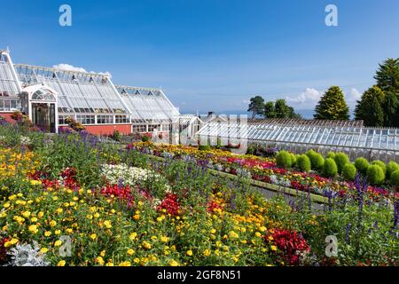 Rothesay, Isle of Bute, Scotland, UK. 24th Aug, 2021. UK weather - Ardencraig Gardens - a hidden gem in Rothesay, Isle of Bute glows beneath blue skies and brilliant sunshine. The Argyll and Bute Council owned propagation, education and show garden is much loved by locals Credit: Kay Roxby/Alamy Live News Stock Photo