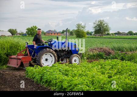A farmer on a tractor works in the field. Seasonal worker. Recruiting and hiring employees for work in the farm. Milling soil. Agribusiness and agroin Stock Photo