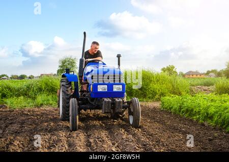 Farmer on a tractor works in the field. Seasonal worker. Recruiting workers with skills in driving agricultural machinery. Milling soil, loosening gro Stock Photo