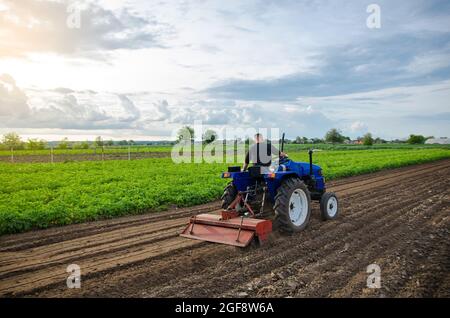 A man farmer works in a farm field. Cultivating the soil before planting a new crop. Milling, crushing and loosening ground. Farming. Agriculture agri Stock Photo