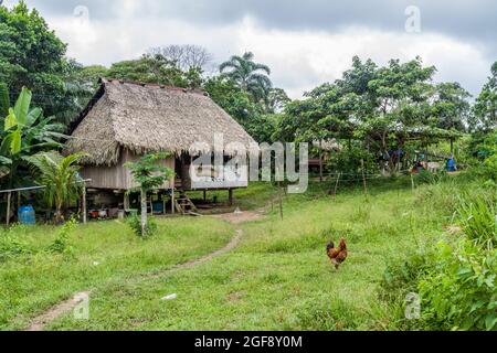 House in Pantoja village, Peru Stock Photo
