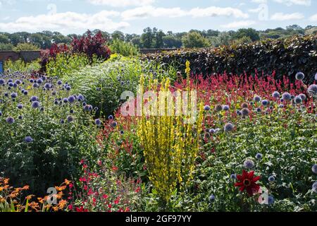 The Hot Border at Helmsley Walled Garden