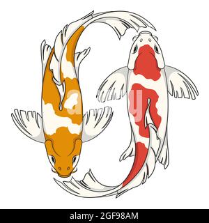 Colored vector illustration with koi carps. Isolated objects on white background. Stock Vector