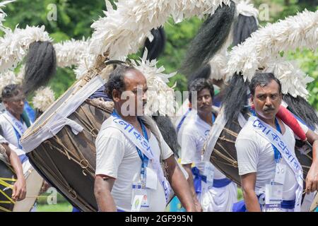 KOLKATA, WEST BENGAL / INDIA - AUGUST 15TH, 2016 : 'Dhaki's, persons who beat and play the 'dhak' - the huge membranophone instrument , with kans gras Stock Photo