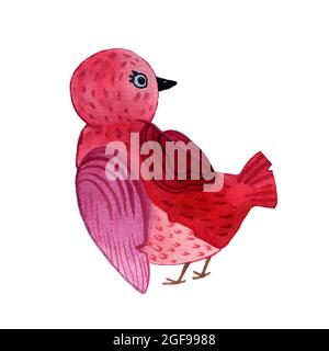 Watercolor hand-drawn illustration of robin birds isolated on white background. Sitting and flying birds in cartoon style red green blue colors. Stock Photo