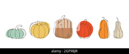 Pumpkin set for Thanksgiving or Halloween day. Pumpkins in various sizes and colors. For autumn designs. Stock Vector