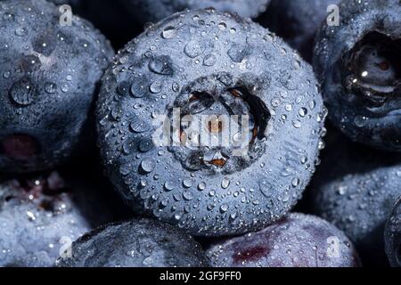 Extreme close-up of fresh ripe blueberries covered with water drops, selective focus