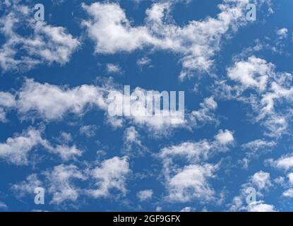 Small fleecy clouds, cirrocumulus, against a blue sky Stock Photo