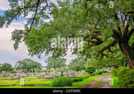 Magnolia Cemetery features ornate graves surrounded by centuries-old Southern live oak trees, Aug. 14, 2021, in Mobile, Alabama. Stock Photo