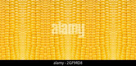 Yellow corn nature pattern, abstract vegetable texture background Stock Photo