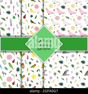 Parrot seamless pattern collection in cartoon style. Parrots kakariki, cocckatoo pink and white, lovebird, tropical leaves and flowers set of six backgrounds. Cute baby print for fabric and textile. Stock Vector
