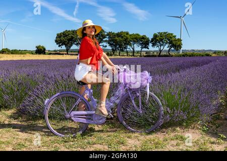 A young woman is sitting on her purple bicycle in the middle of a lavender field. She is wearing a red shirt and white shorts. Wind turbines for renew Stock Photo