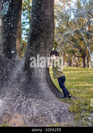 sad pensive brunette little boy leaning with his hands and head on a big tree in a forest, casually dressed. blurred background. vertical Stock Photo