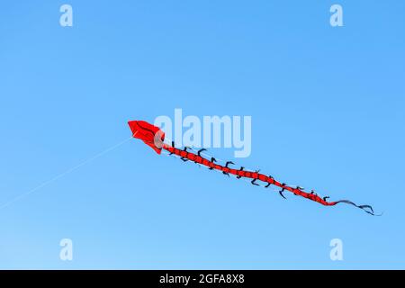 Flying kite. Colorful kite flying in the wind in the blue sky among the clouds. Long serpent in the form of a red dragon Stock Photo