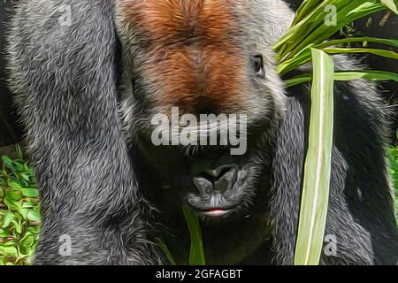 An illustration of a closeup of a Gorilla in a zoo. Stock Photo