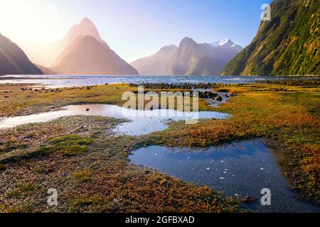 Mitre Peak at sunset, Milford Sound/Piopiotahi, Fiordland National Park, Southland, South Island, New Zealand Stock Photo