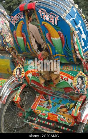 Rickshaws are a common means of transport in Bangladesh. Rickshaw ...
