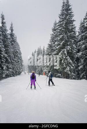 People skiing on the snowy slope of Bukovel ski resort in the Ukrainian Carpathian mountains. Snow falling scene, blizzard frosty weather. Stock Photo
