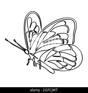 Butterfly in flight isolated on white background. Drawn in one continuous line. Isolated stock vector illustration Stock Vector
