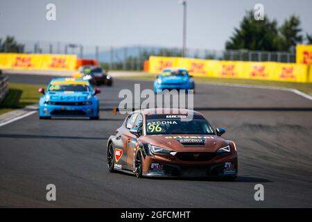 96 Azcona Mikel (spa), Zengo Motorsport, Cupra Leon Competicion TCR, action during the 2021 FIA WTCR Race of Hungary, 4th round of the 2021 FIA World Touring Car Cup, Hungaroring, from August 20 to 22, 2021 in Budapest - Photo Florent Gooden / DPPI Stock Photo