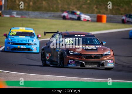 96 Azcona Mikel (spa), Zengo Motorsport, Cupra Leon Competicion TCR, action during the 2021 FIA WTCR Race of Hungary, 4th round of the 2021 FIA World Touring Car Cup, Hungaroring, from August 20 to 22, 2021 in Budapest - Photo Florent Gooden / DPPI Stock Photo