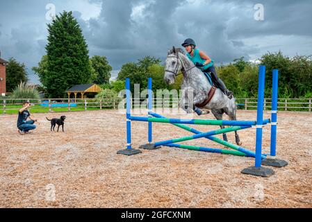 Rebecca Markillie jumping Turbine Breeze, a grey mare on an artificial surface horse arena known as an manège. Tickhill, South Yorkshire, UK Stock Photo