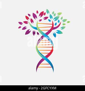 medical symbol helix dna tree logo design vector icon simple sign nature DNA strand icon Stock Vector