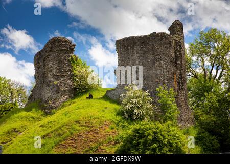 UK, Wales, Carmarthenshire, Llandovery, Castle, visitor sat on grassy bailey Stock Photo