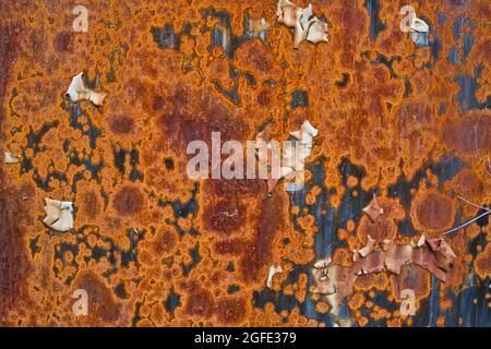 Large orange rust splotches covering a blue wall background texture Stock Photo
