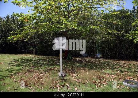 Southern Grenada Mangroves at  Woburn Bay Marine Protected Area Public Notice Stock Photo