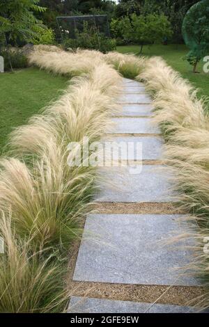 Mexican Feathergrass Lining a Path in Garden Surrey England Stock Photo