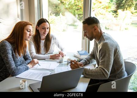 Smiling young friends studying at home Stock Photo