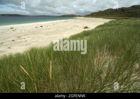 The shell beach at Reef in the Isle of Lewis with the tide line strewn with colourful shells. Stock Photo