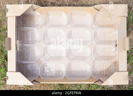 Self-assembly cardboard shipping box full of empty plastic containers for berries storing and transportation Stock Photo