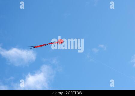 Flying kite. Colorful kite flying in the wind in the blue sky among the clouds. Long serpent in the form of a red dragon Stock Photo