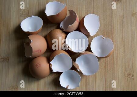 Brown speckled empty eggshells on the kitchen worktop Stock Photo