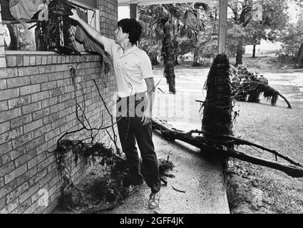 San Marcos Texas USA, circa 1988: Residents survey flood damage on the campus of Southwest Texas State along the San Marcos River. ©Bob Daemmrich Stock Photo