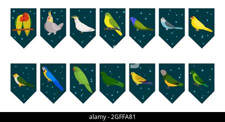 Flags garland for birthday party with tropical birds on colorful dark green background. Bunting wit lovebird cockatiel cockatoo macaw parrots. Hand drawn kid illustration. Vector design set. Stock Vector
