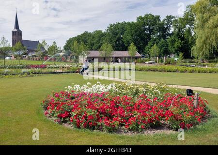 Lottum, The Netherlands - June 19, 2021: People wondering beautiful roses in public garden Stock Photo