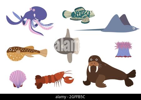 Set of sea animals - octopus stringray walrus omar sunfish. Undersea world habitants print. Hand drawn underwater life collection. Funny cartoon marine animals character for kid. Stock Vector