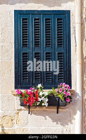 Closed wooden window shutter in window frame with potted flowers on windowsill Stock Photo