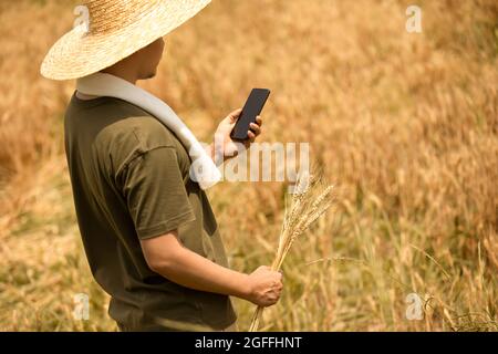 Farmer using smartphone in wheat field Stock Photo