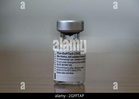 London, UK 25 Aug 2021 - Vial containing the Pfizer Covid-19 vaccine, at a vaccination centre. Credit Dinendra Haria /Alamy Live News Stock Photo