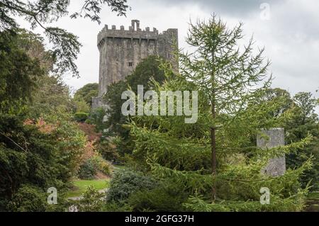 Blarney Castle mit seinem weitläufigen Park ist ein beliebtes Ausflugsziel - Blarney Castle with its gardens is a popular attraction near Cork