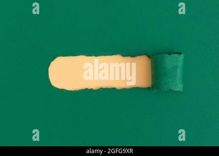 Green torn paper with space for text with yellow background Stock Photo