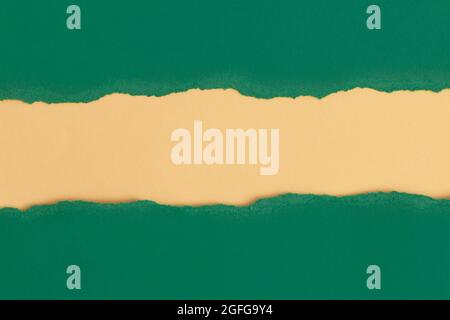 Green torn paper with space for text with yellow background Stock Photo