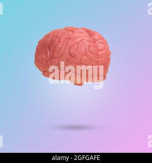 Creative minimal scene with a human brain floating in the air on a trendy background illuminated by a blue and pink color gradient. Artificial intelli Stock Photo