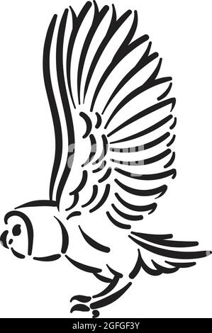 Line style owl bird hand drawn illustration Stock Vector